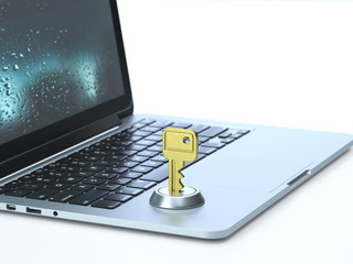 Wall Mural - Password,lock on the keyboard of a latop, 3d rendering,conceptual image. security and protection concepts.