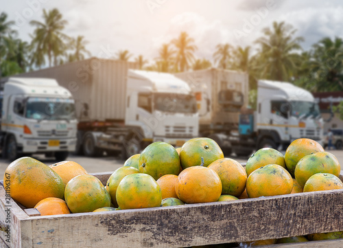 Orange Fruit and food distribution, tropical fruit of Thailand .Truck loaded with containers reefer control by ventilator mode to be shipped to the market.