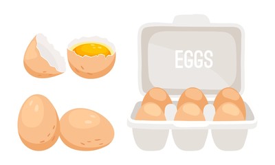 Chicken eggs. Fresh brown eggs in paper box vector illustration