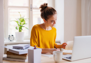 Poster - A young female student sitting at the table, using laptop when studying.