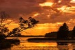 Zachód słońca nad jeziorem, rzeką z pochylonym drzewem i promieniami słońca