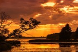 Fototapeta Kwiaty - Zachód słońca nad jeziorem, rzeką z pochylonym drzewem i promieniami słońca