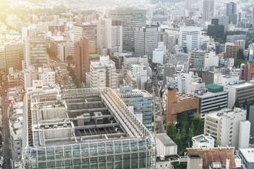 Wall Mural - city skyline aerial view of Sendai in Japan