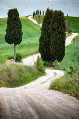 Wall Mural - Terrapille farmhouse and road. Pienza, Tuscany, Italy.