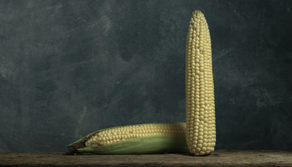 Poster - Two Fresh Sweet corn on a old oak  wooden table and beautiful grey wall background.