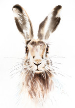 Easter Bunnies Watercolor Illustration, Rabbit Portrait Isolated
