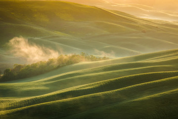  Fantastic sunny spring field in Italy, tuscany landscape morning foggy famous Cypress trees