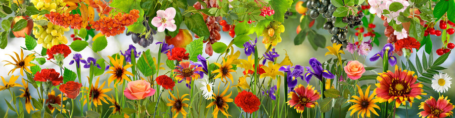 image of beautiful flowers in the garden in summer