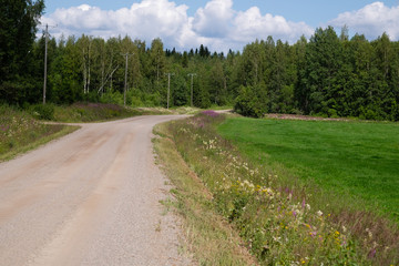 Wall Mural - road in the countryside