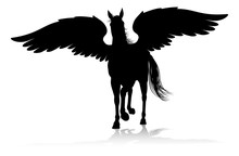 A Pegasus Silhouette Mythological Winged Horse Graphic