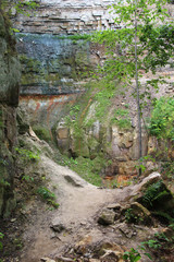 Wall Mural - High stone wall in canyon and forest trees