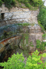 Wall Mural - High stone wall in canyon and forest trees