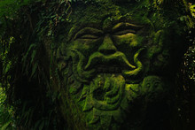 Carving Demons Faces On Wall Background Covered With Moss Texture In Bali
