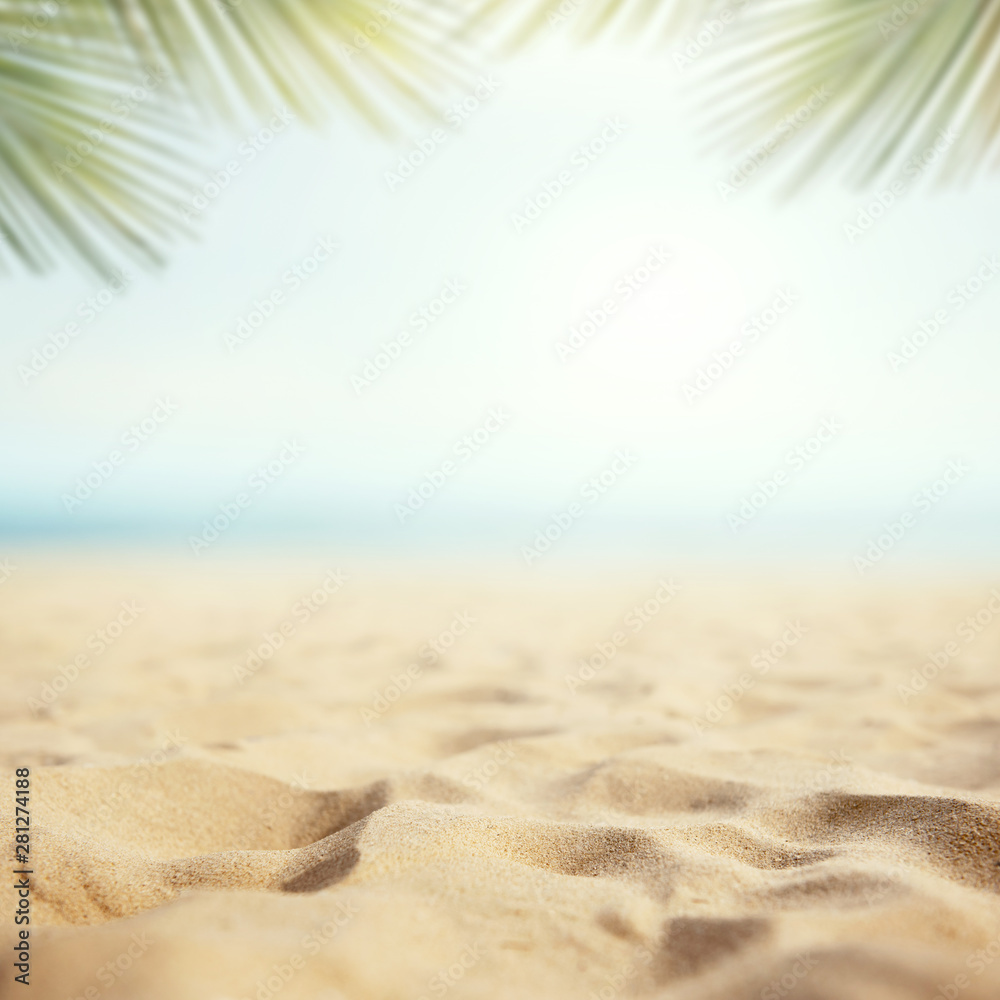 Sand with Palm and tropical beach and sea background with frame design ...