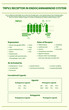 © About time - TRPV2 Receptor in Endocannabinoid System vertical infographic illustration about cannabis as herbal alternative medicine and chemical therapy, healthcare and medical science vector.