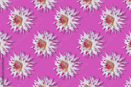 Pattern of dahlias on a pink background.