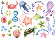 big set of watercolor marine illustrations with sea animals and abstract elements