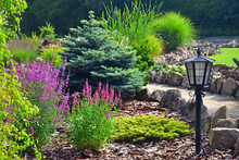 Colorful Garden Plants With Conifers Lamp Stone Path