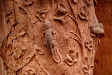 Whimsical And Lifelike Carvings On Heidelberg Castle