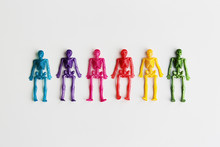Colorful Toy Skeletons