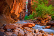 The Narrows hike in the Virgin River of Zion National Park.