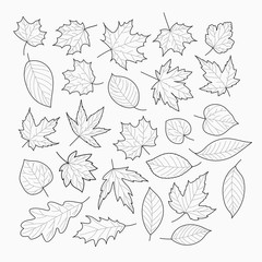 Poster - Autumn leaves vector banner. Vector template