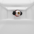© Out of the box/Stocksy - Giant eye with black headphones in an art gallery