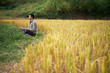 © ChaoShu Li/Stocksy - Asian man meditating in countryside field meditating on mature rice field background