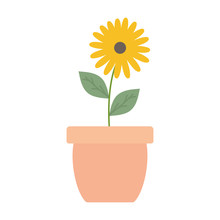 Cute Sunflower And Leafs Plant In Ceramic Pot