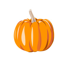Orange Pumpkin Vector Illustration. Autumn Halloween Or Thanksgiving Pumpkin, Vegetable Flash Icon Or Print, Isolated.