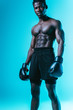 © LIGHTFIELD STUDIOS - serious, muscular african american boxer looking at camera on blue background