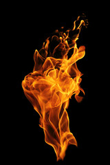 Wall Mural - movement of fire flames isolated on black background.