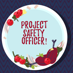 Poster - Text sign showing Project Safety Officer. Conceptual photo Responsible for monitoring and assessing unsafe zones Hand Drawn Lamb Chops Herb Spice Cherry Tomatoes on Blank Color Plate