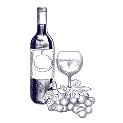 Wall Mural - Hand drawn wine bottle, glass and grapes. Engraving style.