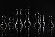 © fotofabrika - Chess figures on dark black background close up