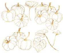 Autumn Floral Gourd Art Print Free Stock Photo - Public Domain Pictures