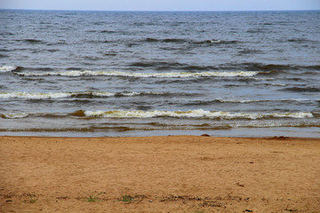 Wooden snag on stone seashore on a summer day