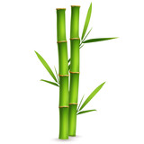 Fototapeta Sypialnia - Realistic bamboo sticks with leaves and shadow