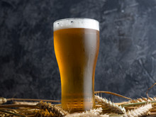 Misted Glass Of Light Beer On A Wooden Table And Wheat