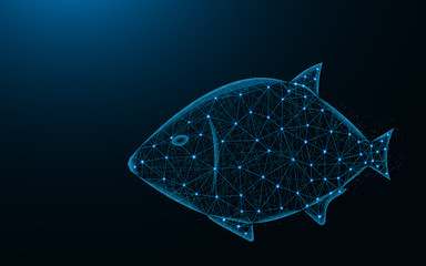 Wall Mural - Fish low poly design, aquatic animal abstract geometric image, underwater world wireframe mesh polygonal vector illustration made from points and lines on dark blue background