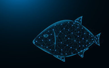 Poster - Fish low poly design, aquatic animal abstract geometric image, underwater world wireframe mesh polygonal vector illustration made from points and lines on dark blue background