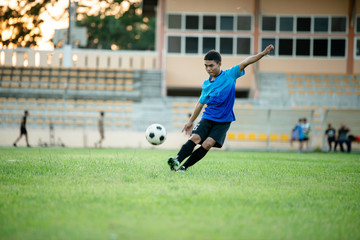 Wall Mural - Soccer player action on the stadium