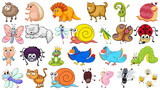 Fototapeta Pokój dzieciecy - Set of various animals