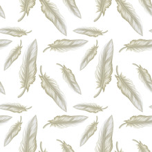 Seamless Pattern Tile Cartoon With Feathers