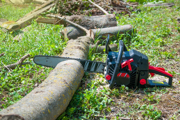 Wall Mural - Chainsaw cuts a log on a background of green grass. Sharp teeth. Chain