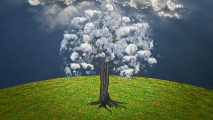 Wall Mural - Cloud Tree