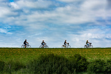 Four People Riding On Bicycles In Sunny Day In Netherlands