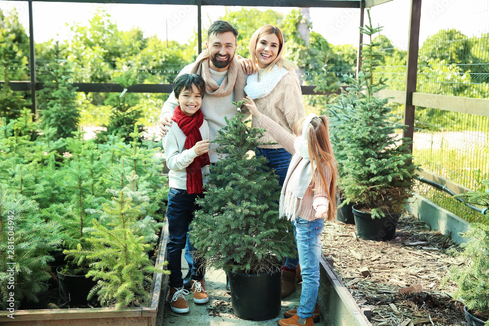 Family choosing Christmas tree in greenhouse
