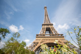 Fototapeta Boho - Eiffel Tower in the Sun