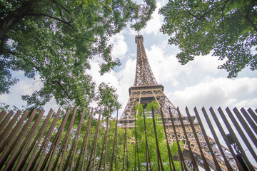 Eiffel Tower in the Sun